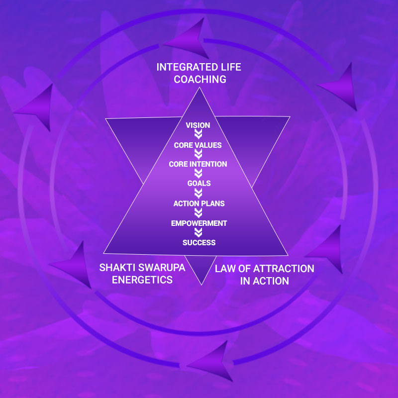 Life Coaching Product